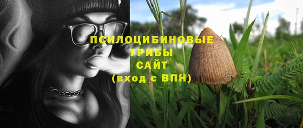 гидра Инта