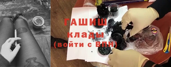 гидра Инта