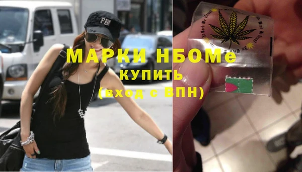 гидра Инта