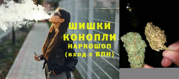 прущая мука Инсар