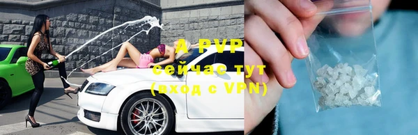 гидра Инта