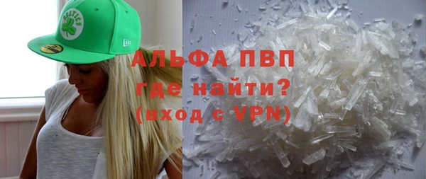 гидра Инта