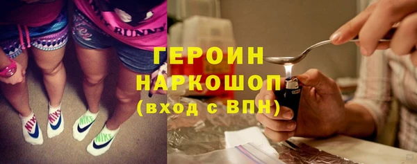 гидра Инта