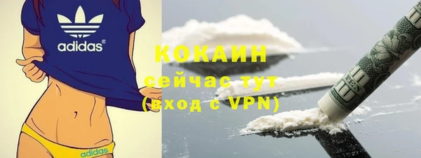 прущая мука Инсар
