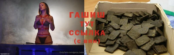 гидра Инта