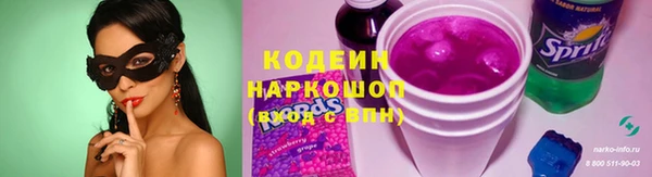 гидра Инта