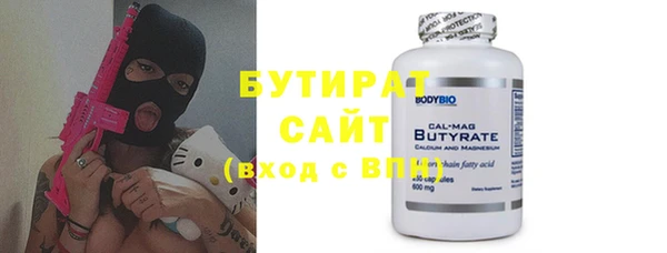 гидра Инта