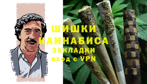 гидра Инта