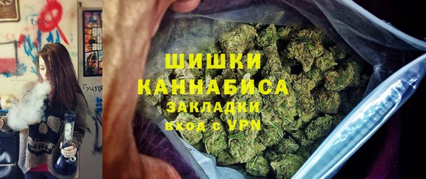 гидра Инта