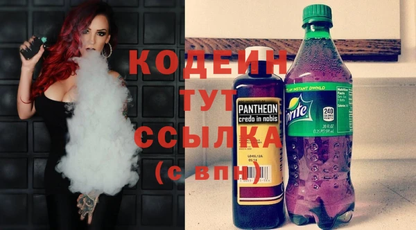 круглые Иннополис