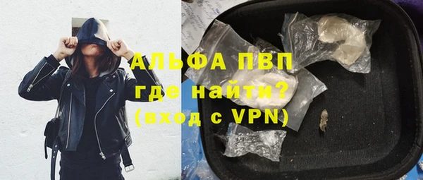 гидра Инта